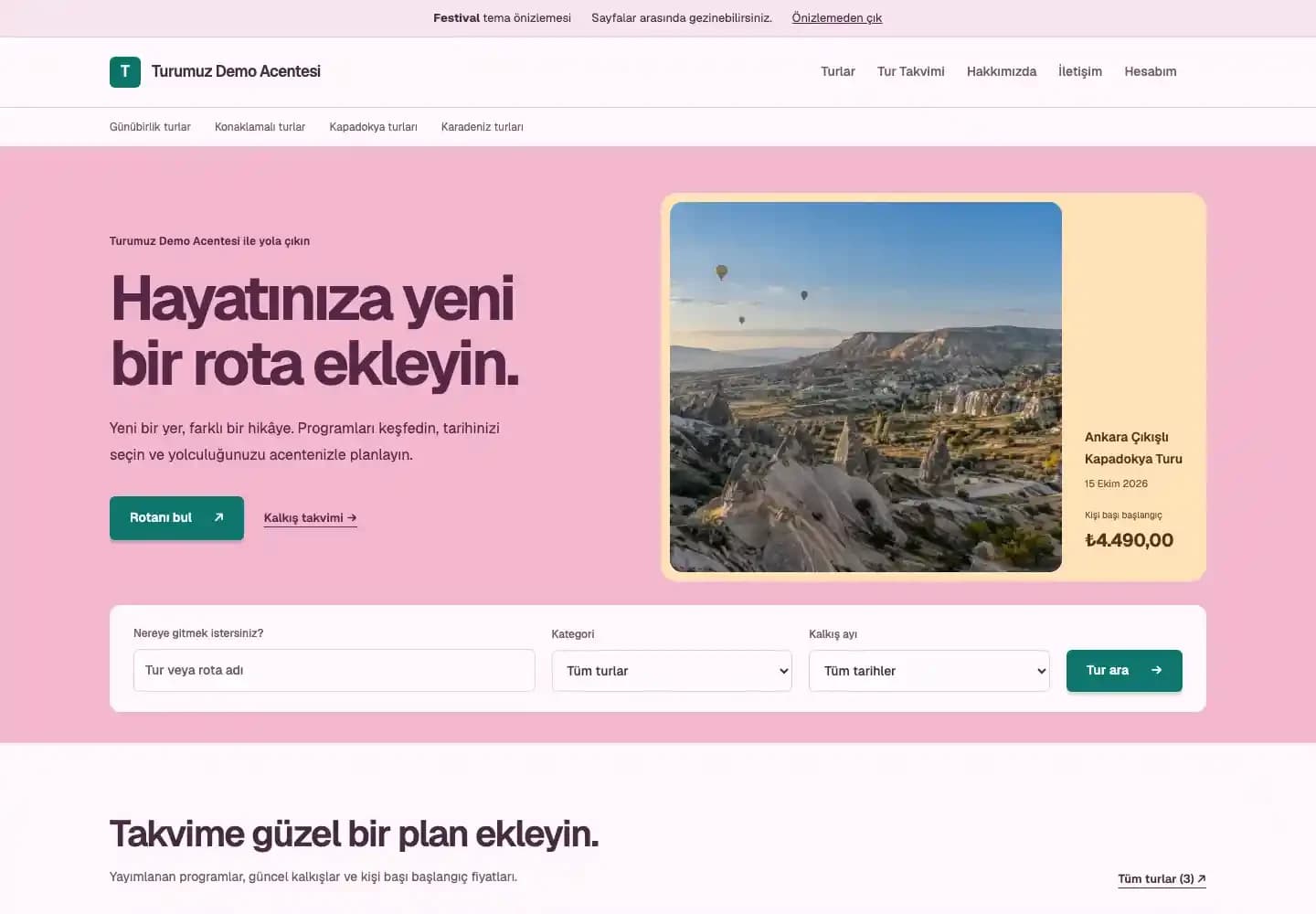 Festival acente sitesi teması